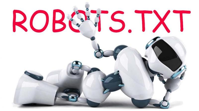 Что такое robots.txt и зачем он нужен в Воронеже